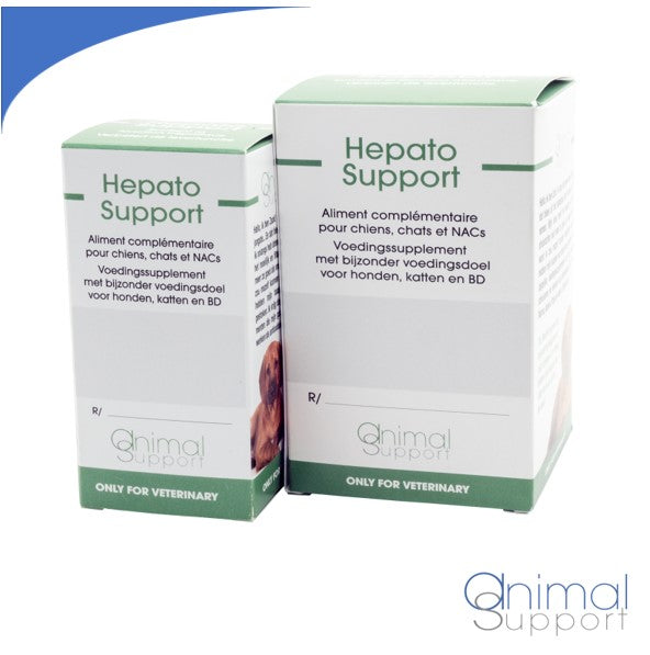 Hepato support best sale