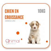 Charger l&#39;image dans la galerie, Croquettes Vétérinaires - Chien en Croissance 10 kg- Agneau / Riz
