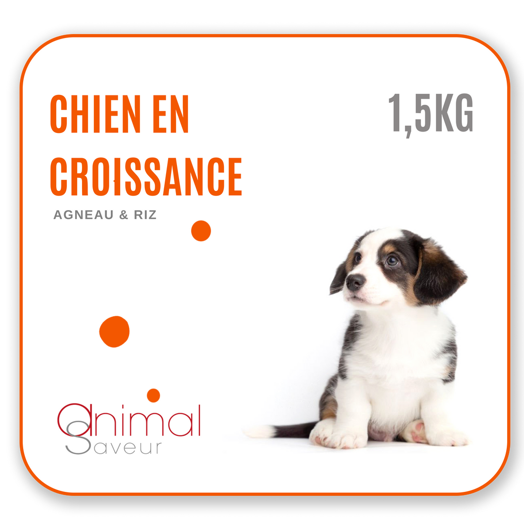 Dierenarts Brokken - Opgroeiende hond 1,5 kg - Lam / Rijst