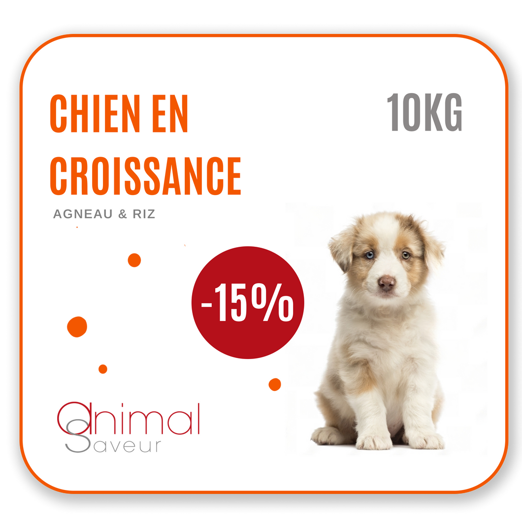 Dierenarts Brokken - Opgroeiende hond 10 kg - Lam / Rijst