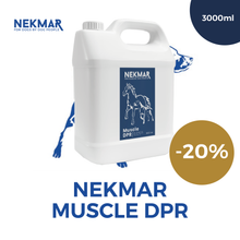 Afbeelding in Gallery-weergave laden, Muscle DPR  | 1000ml - | PROMO -20%
